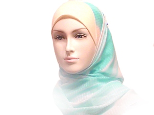 هل الاخوة المسلمين علي صواب في الحجاب Turqwhtdl0
